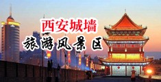 嗯啊不要操视频中国陕西-西安城墙旅游风景区